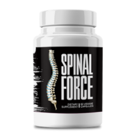 Spinal Force