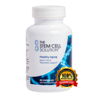 The Stem Cell Solution